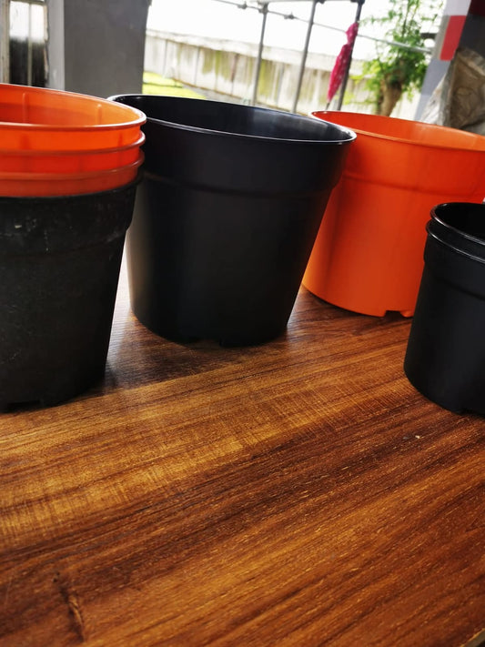 Flower Solid Pots 2