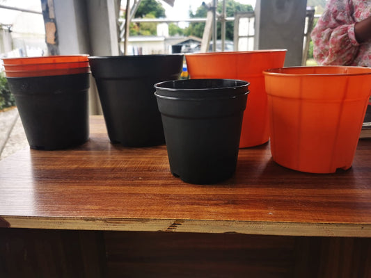 Flower Solid Pots