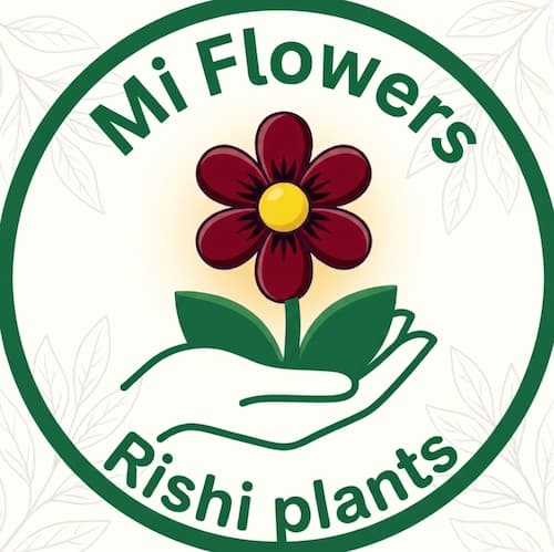 Mi Flowers Online