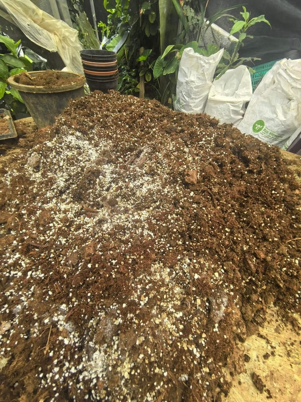 Mi Flowers Soil Mix