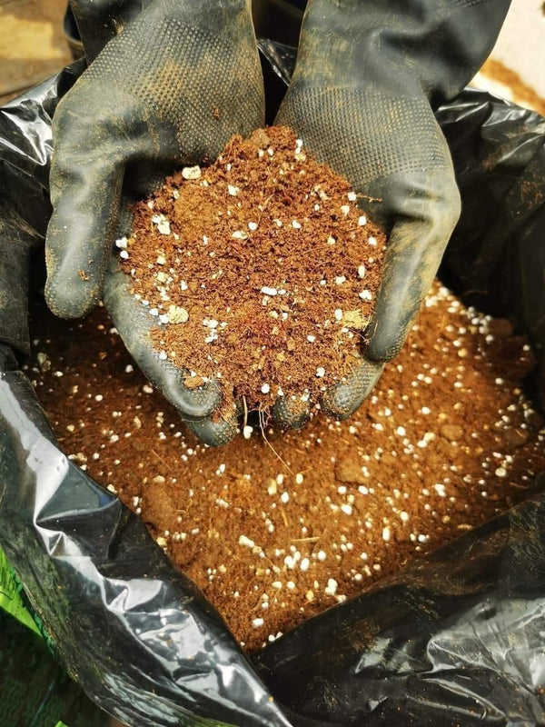 Soil Mix 3